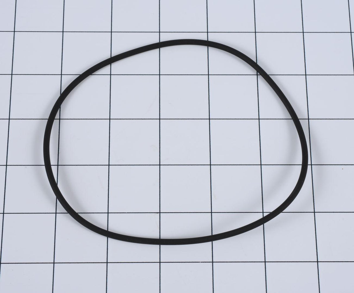 10731829 O-Ring (Lull #P31829) | JLG