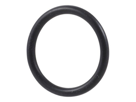 10732018 O Ring