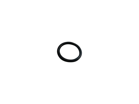 1319583 O Ring