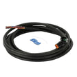 137761GT Harness