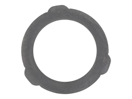 141096 Intermediate Brake Disc