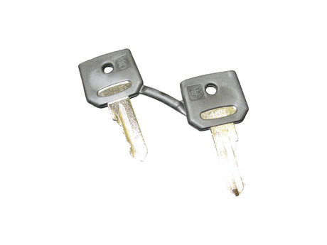 21982 Ignition Key