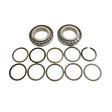 Part Number 229833GT Bearing Kit Omni fits Genie