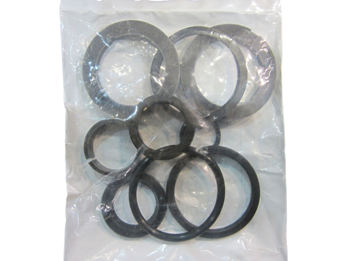 2900095 Seal Kit