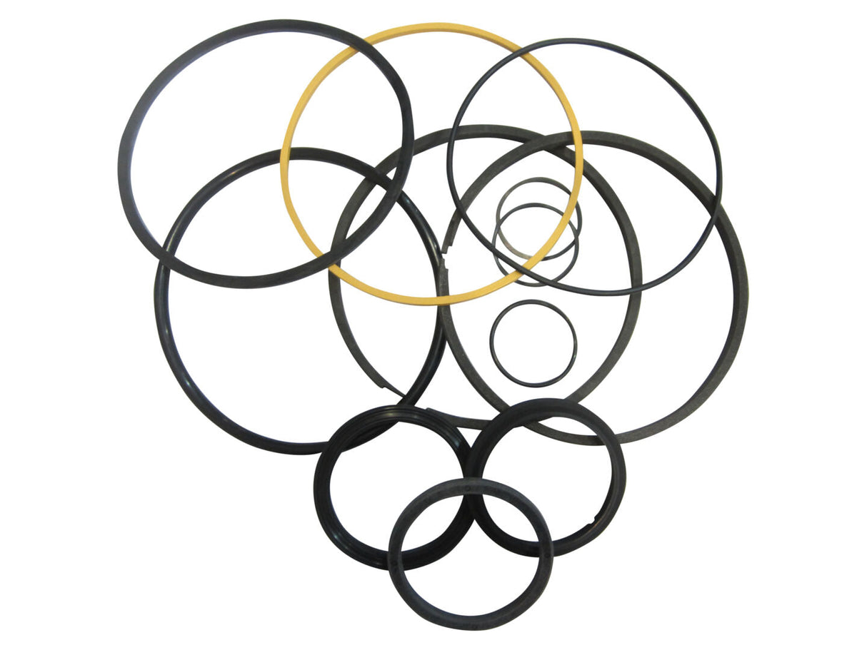 Part Number 2900100 Seal Kit Rd. Hd. 40 fits JLG