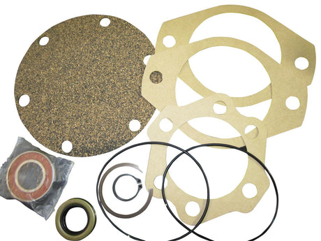 29293 Bearing Repair Kit 