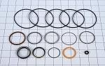 310568 Seal Kit | Skyjack - BHE Parts Store