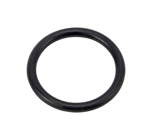 3790216 O Ring