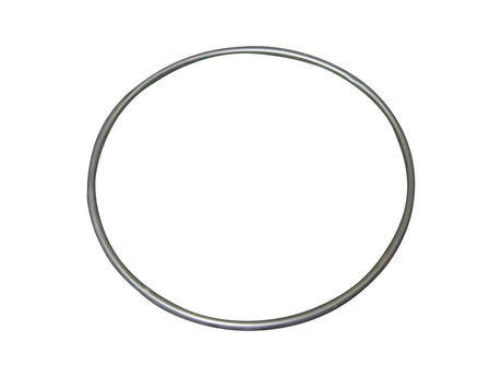 3790248 O Ring 