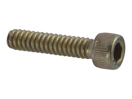 Part Number 3930610 Screw Socket Hd Mach,#6-32X5/8 fits JLG