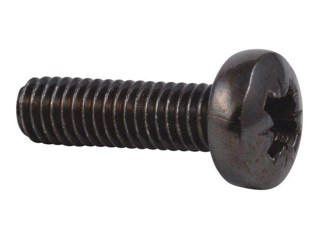 4010610002 Screw Posi Drive