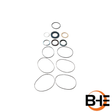 Part Number 44782GT Drive Motor Seal Kit