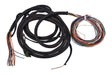 4921415 Engine Service Harness