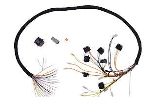 4923118 Wire, M.T.B. Harness | JLG - BHE Parts Store