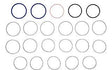 49528 Seal Kit, Swivel | Genie - BHE Parts Store