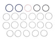 Part Number 49528GT Seal Kit Swivel (48541)*** fits Genie
