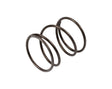 7000283 Spring
