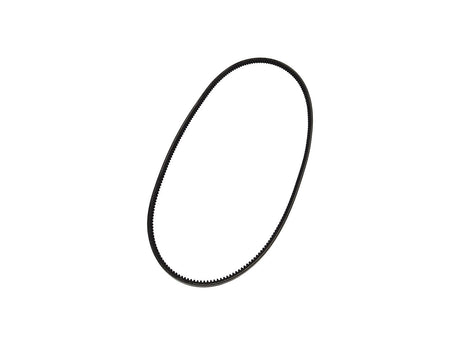 70005516 Narrow V Belt