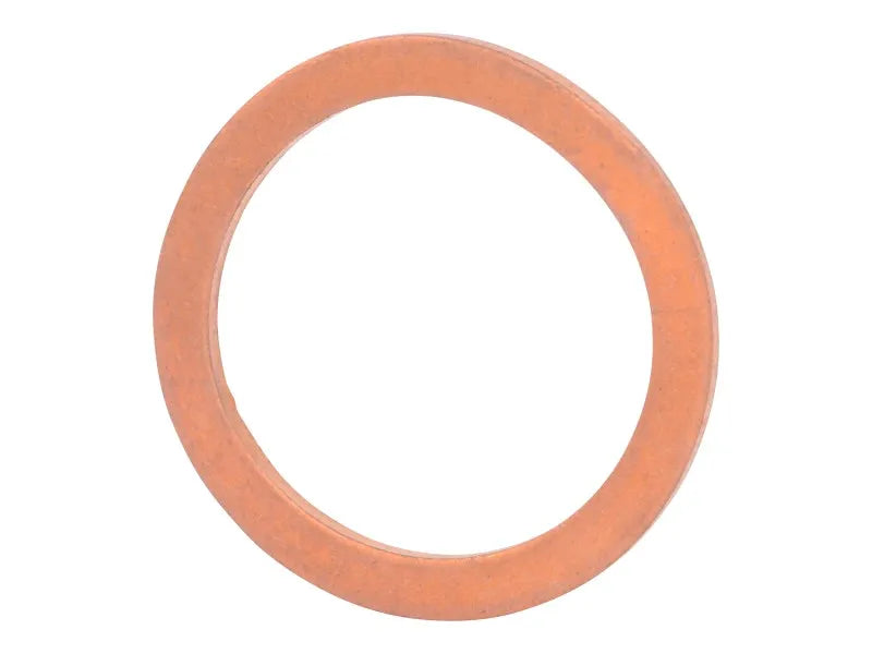 70006266 Anillo de sellado | JLG
