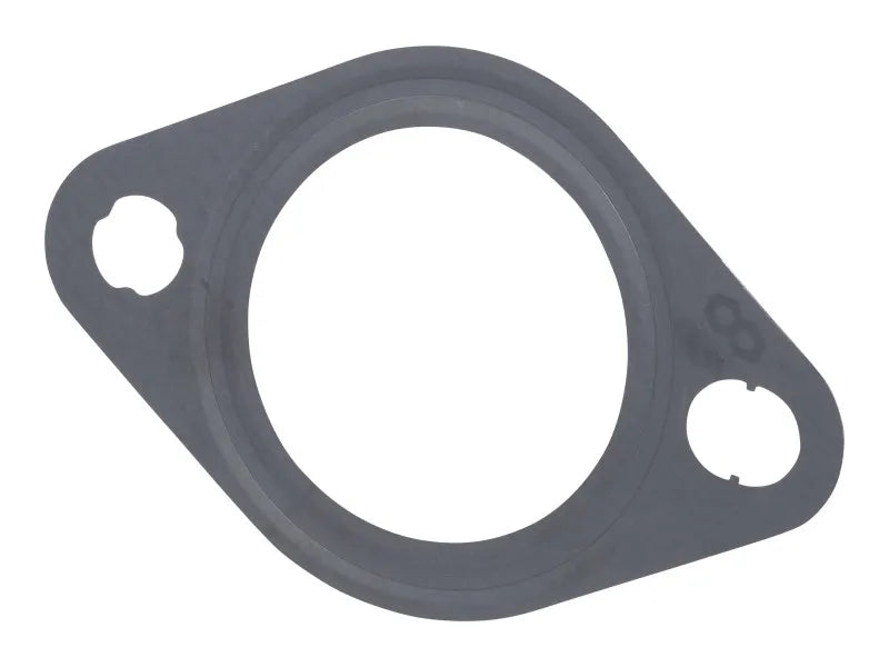 70007354 Gasket, Exhaust Pipe | JLG