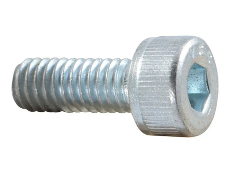 Part Number 70007565 Capscrew, Nylock fits JLG