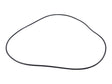 Part Number 70021160 Ring fits JLG