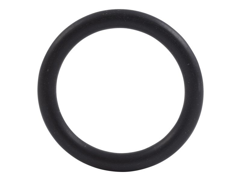 70021455 O Ring Seal 