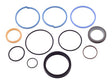 70021751 Seal Kit 