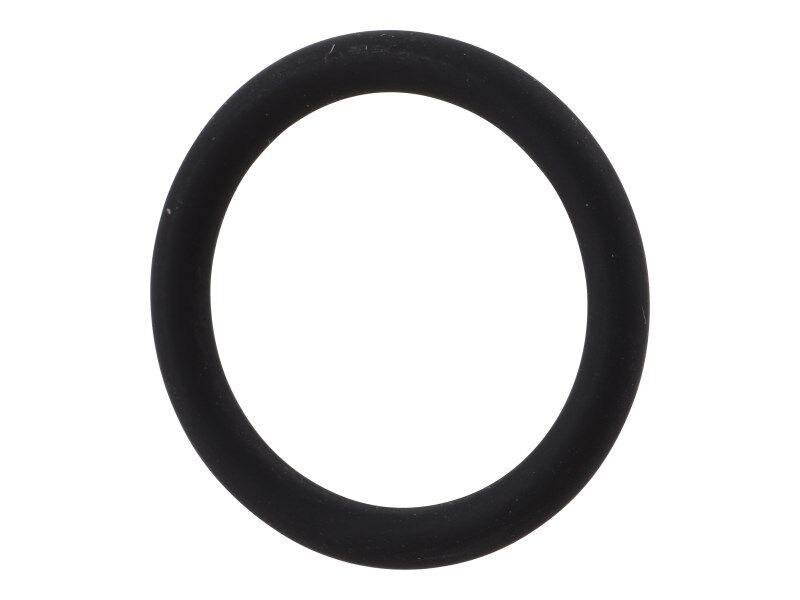 70022025 O-Ring | JLG