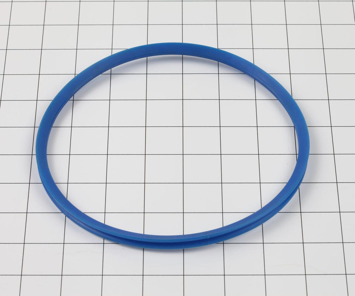 70022219 V-Ring