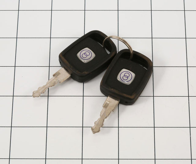 70022765 Replacement Key (Set of Two) | JLG - BHE Parts Store