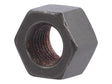 Part Number 70024889 Nut fits JLG
