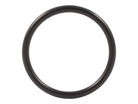 70025307 Water Pump To Therm O Ring