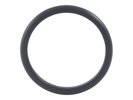 70026226 D Ring Seal