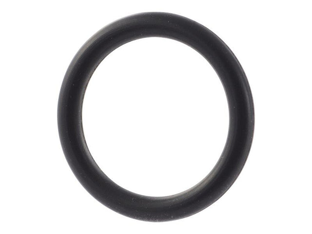 70027109 O Ring