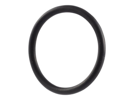 70030369 O Ring