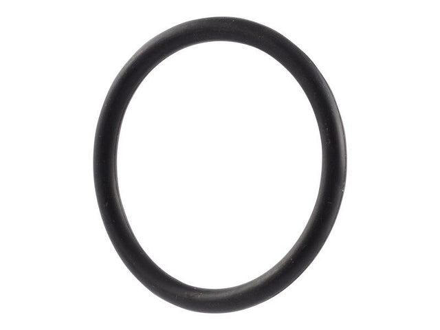 70030369 O Ring