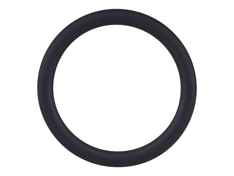 70031055 Sealing Ring, Water Pump | JLG