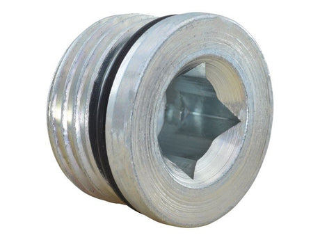 Part Number 70031076 Plug, Screw Drain fits JLG