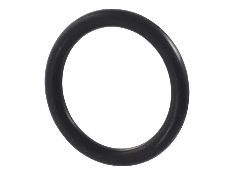 70031690 O-Ring | JLG