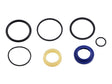 Part Number 70042018 Seal Kit, Steer Cyl fits JLG