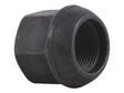 Part Number 70042269 Nut-Spec, Wheel Nut fits JLG