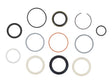 Part Number 70044244 Seal Kit, Cyl fits JLG