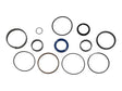 Part Number 70045585 Seal Kit 42409 Ele 3155 3461 fits JLG