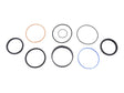 Part Number 70046163 Seal Kits Cylinder fits JLG