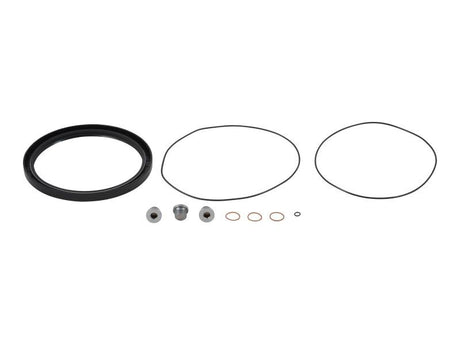 7021333 Seal and Bolt Kit