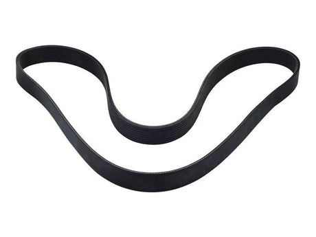 7029901 Fan Belt