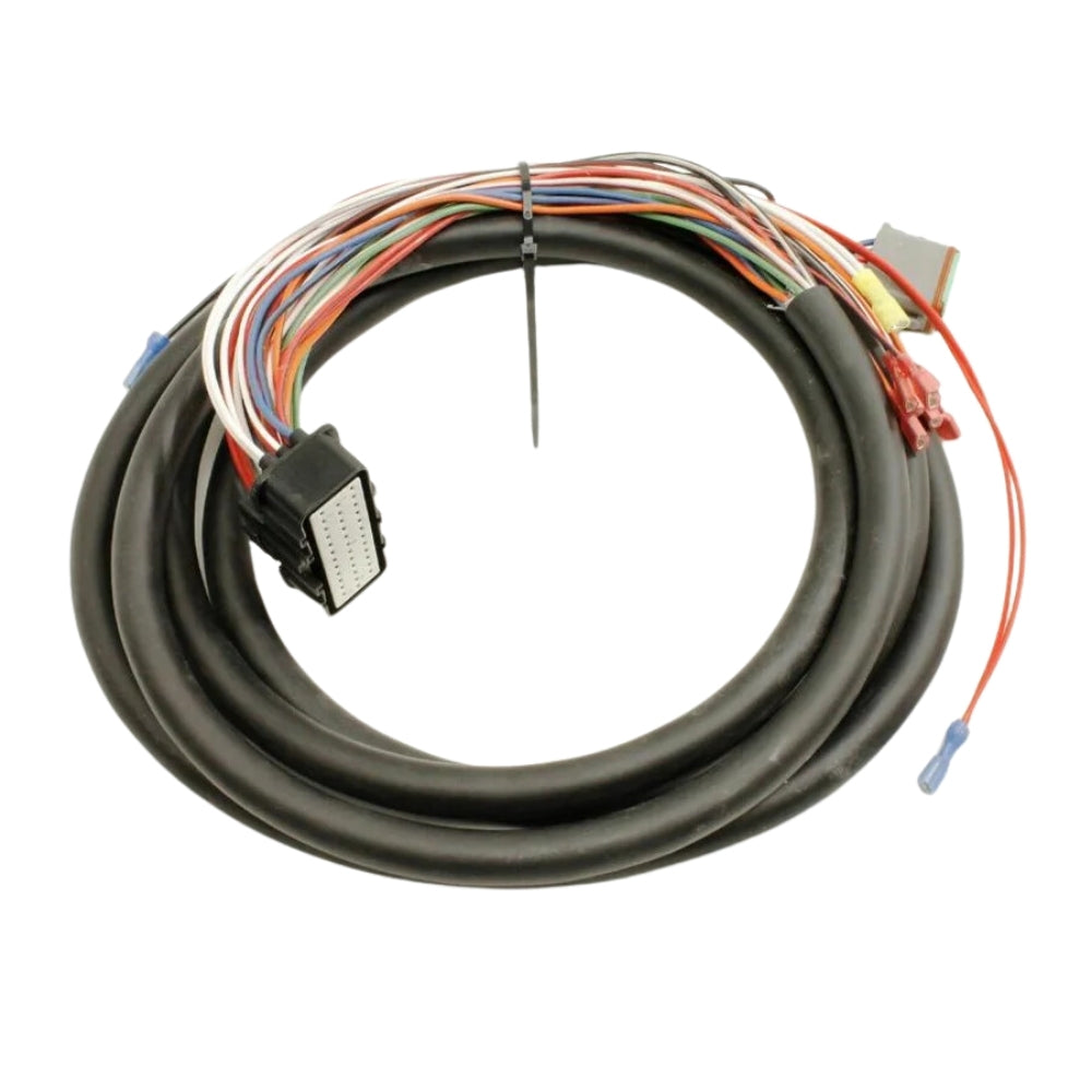 79875GT Harness