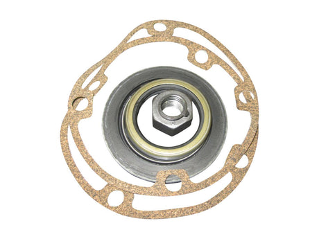 8033483 Kit Seal