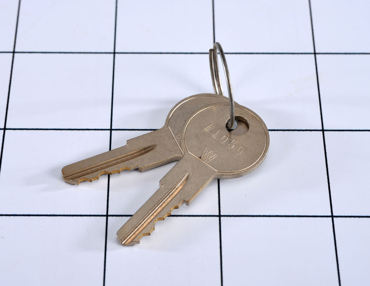 8035292 Keys Set of 2 